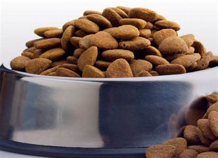 Why do vets recommend kibble