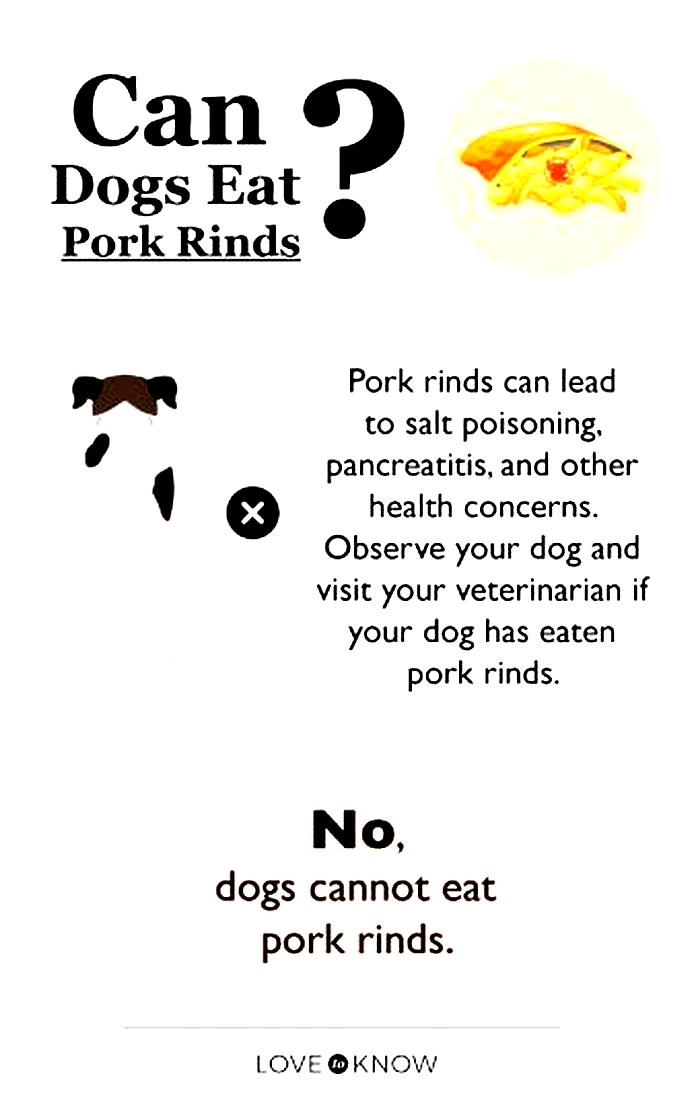 Why is pork not used in dog food?