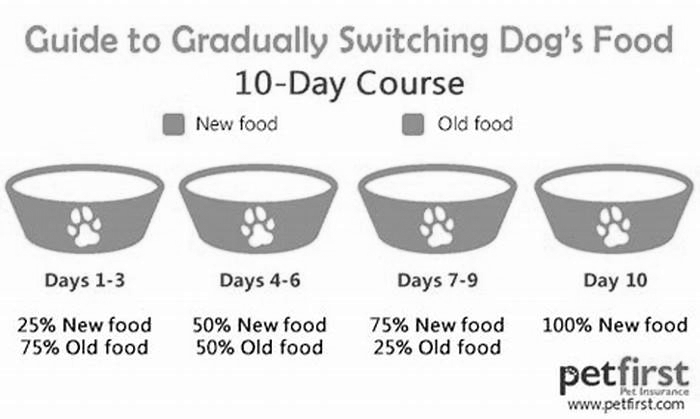 Why not to switch dog food brands?