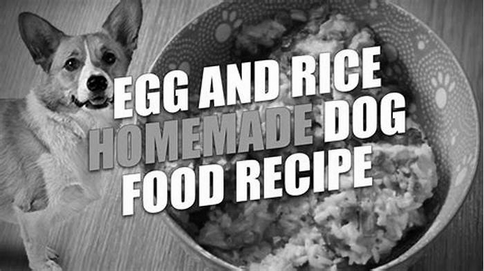 Why put rice in homemade dog food